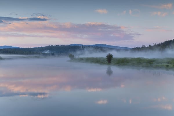 Обои лес, туман, Oxbow Bend, облака, morning, Национальный Парк, Вайоминг, отражение, sky, National Park, Wyoming, reflection, mist, forest, lake, озеро, clouds, США, утро, небо, USA