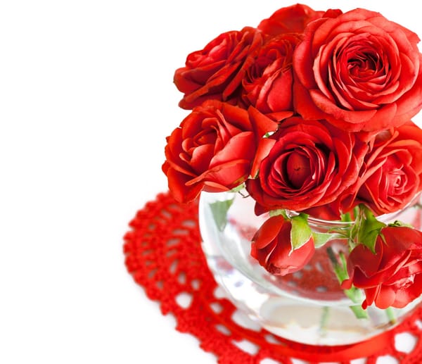 Обои valentine's day, цветы, розы