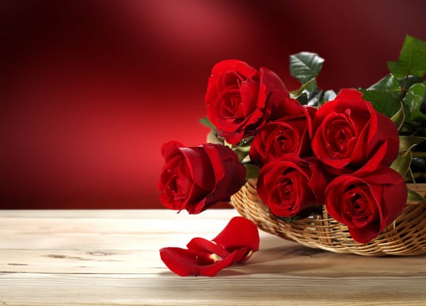 Обои valentine's day, розы, цветы, любовь