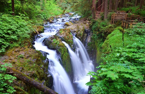 Обои водопад, река, Olympic National Park, деревья, лес, поток, Sol Duc Falls, США, Washington