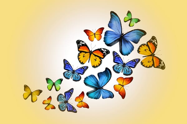 Обои design by Marika, colorful, yellow, бабочки, butterflies