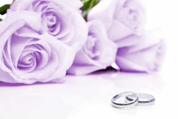 Обои цветы, сиреневые розы, flowers, ткань, cloth, обручальные кольца, lilac roses, wedding rings
