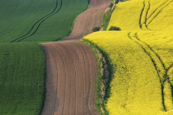 Обои Moravia, весна, Czech Republic