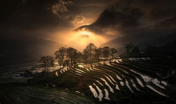 Обои Sapa, Rice Terrace, Вьетнам