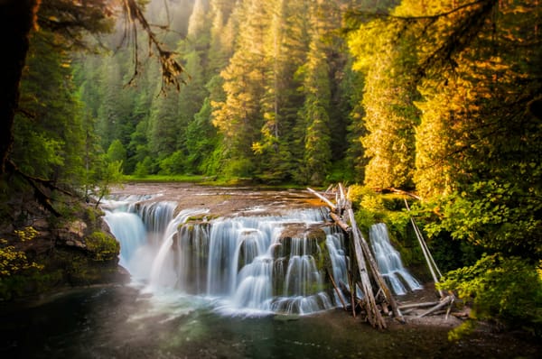 Обои водопад, Lower Lewis River Falls, река, лес