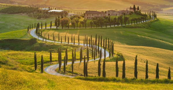 Обои солнечный свет, beautiful nature, Italy, пейзаж, green field, кипарис картонных, sunlight, оливковые деревья, cypress-lined, дом, house, дорога, Италия, Tuscan, зеленые поля, landscape, olive trees, красивая природа, road