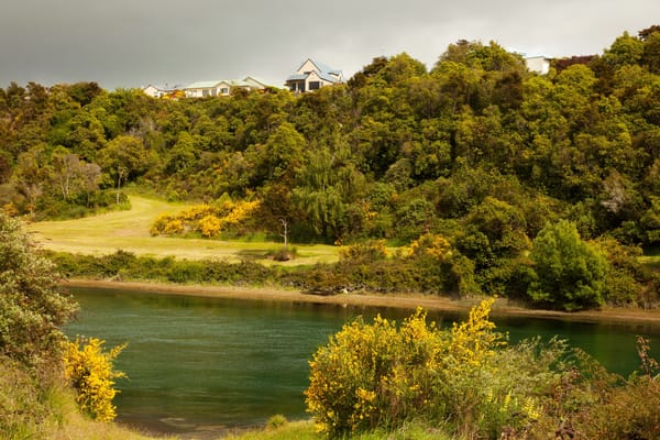 Обои Waikato, Новая Зеландия, дома, возвышенность, деревья, кусты, река, зелень, берег