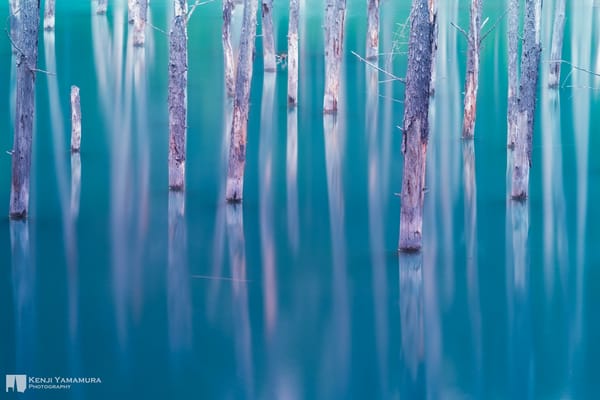 Обои озеро, Kenji Yamamura, деревья, Япония, photographer
