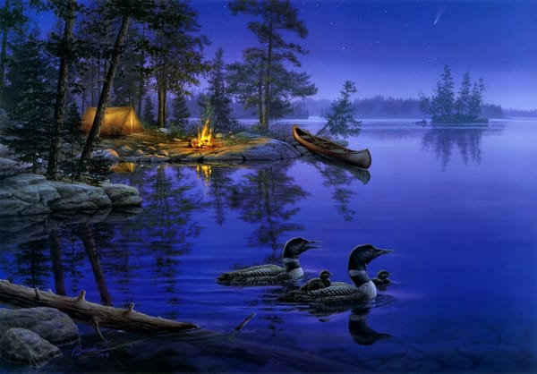 Обои A World Away, лодка, звёзды, Darrell Bush, night, костер, костёр, живопись, озеро, звезда, палатка, painting, ночь, лес, утки, природа, огонь, lake