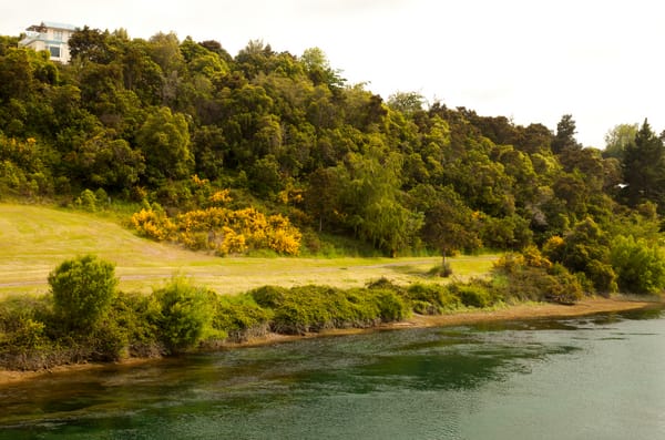 Обои Новая Зеландия, Waikato River, берег, река, склон, дорога