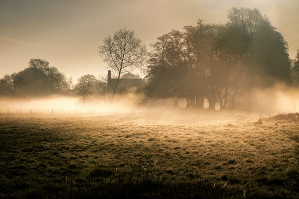 Обои туман, Suffolk Dawn, утро