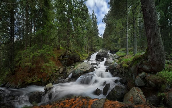 Обои Болгария, Skakavica Waterfall, водопад, лес, Национальный парк Рила, Bulgaria, Rila National Park