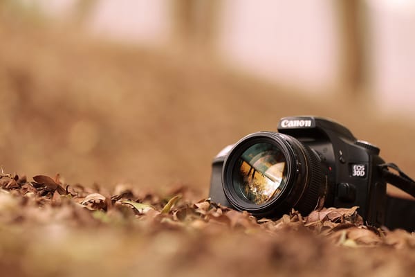 Обои canon, листья, фотоаппарат