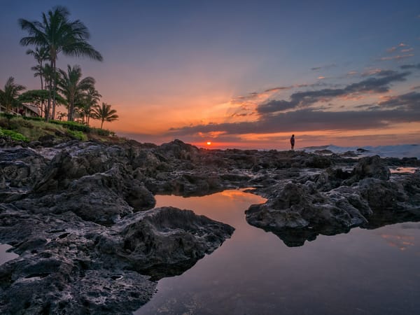 Обои пальмы, Maui, побережье, океан, Napili Bay, закат, Napili Beach, Гавайи, Hawaii, Мауи