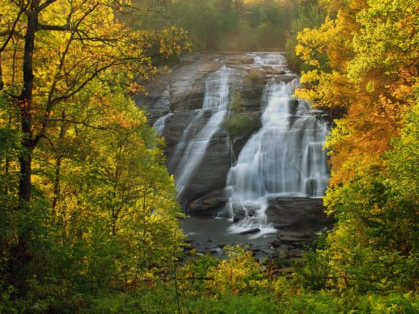 Обои Северная Каролина, North Carolina, осень, деревья, лес, High Falls, DuPont State Forest, водопад