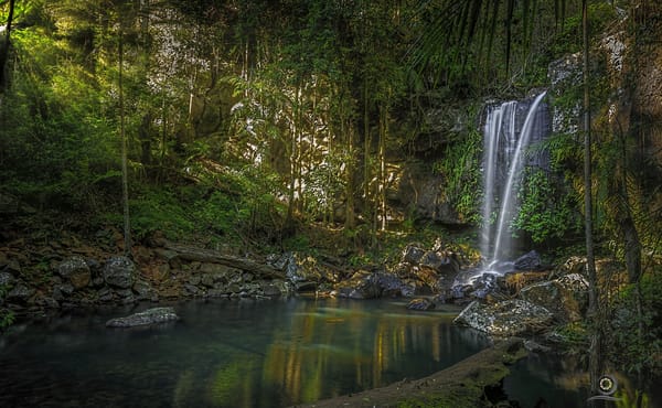 Обои Queensland, река, Национальный парк Тамбурин, водопад, Квинсленд, Australia, Австралия, лес, Tamborine National Park, Curtis Falls