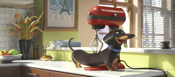 Обои collar, Paris, wheat, mixer, The Secret Life of Pets, olive oil, apple, comedy, Dachshund, fruit, animal, cinema, massage, movie, dog, countertop, cup, kitchen, window, 2016, cartoon, pyrex, frame, curtain, graphic animation, film, Official, book, oil