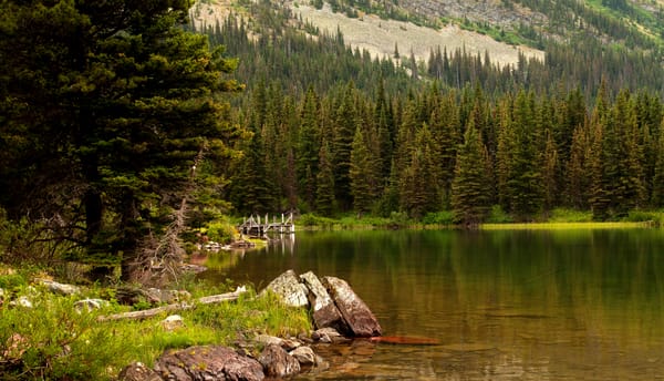 Обои камни, США, лес, деревья, Swiftcurrent Lake, Glacier National Park, озеро, трава