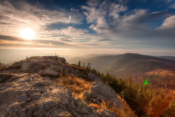 Обои Forest, Nationalpark Bavarian, Sunrise