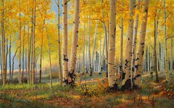 Обои Kay Witherspoon, искусство, Pillars Of Gold, лес, золотая осень, живопись, роща, березы, осень