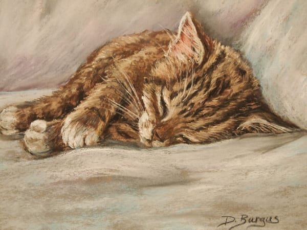Обои кот, D.Burgus, спящий котёнок, рыжий котёнок