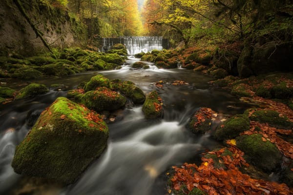 Обои Швейцария, лес, Areuse Gorge, Switzerland, камни, река, каскад, осень, водопад, мох, листья, ущелье Аройзе, Val-De-Travers