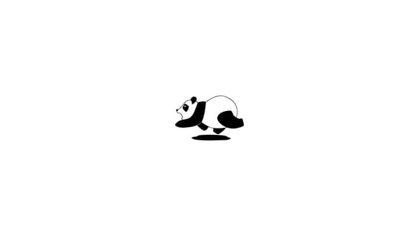 Обои панда, белое, black, white, черное, черно-белый, black and white, panda