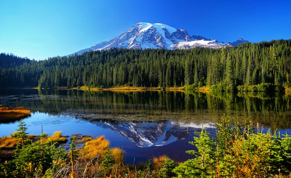 Обои Reflection Lake, горы, осень, лес, отражение, озеро, Mount Rainier National Park, деревья, вода