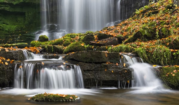Обои камни, мох, водопад, Северный Йоркшир, Англия, Scaleber Force, Settle, Yorkshire Dales National Park, North Yorkshire, Сетл, листья, England, Йоркшир-Дейлс, осень