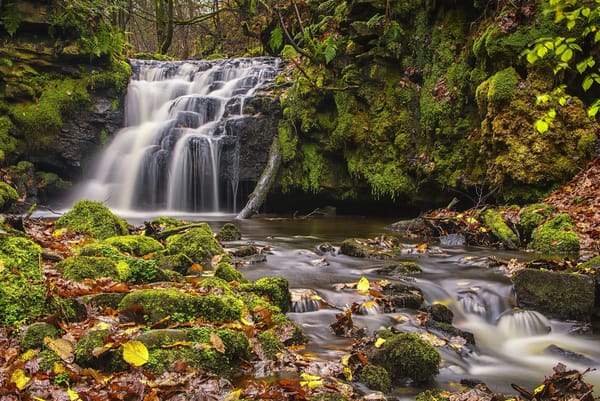 Обои West Yorkshire, Тодморден, England, Gorpley Clough Falls, листья, каскад, Англия, Todmorden, мох, водопад, осень, Западный Йоркшир