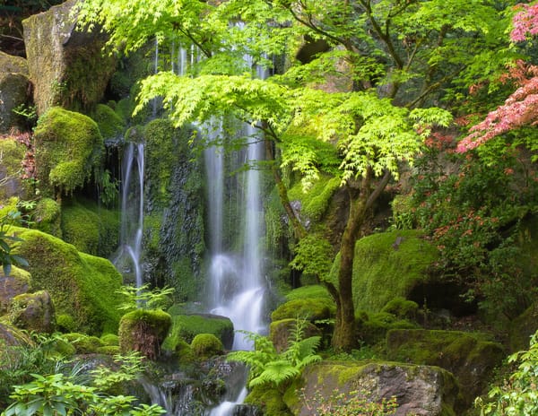 Обои Japanese Gardens, Portland, деревья, Oregon, Японские сады, Портленд, водопад, камни, Орегон
