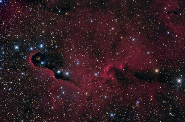Обои nebula, космос, Elephant's Trunk, туманность