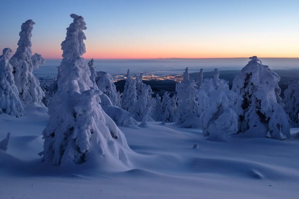 Обои утро, Harz Mountains, снег, деревья, Саксония-Анхальт, Germany, Германия, Saxony-Anhalt, рассвет, панорама, сугробы, зима, горы Гарц