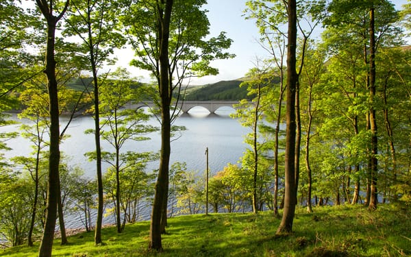 Обои Derbyshire, трава, река, деревья, Ladybower Reservoir, зелень, пейзаж, мост, водохранилище, Англия