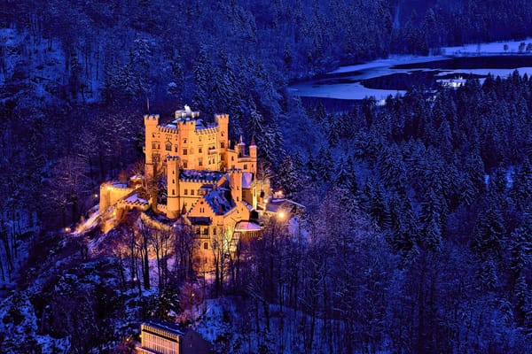 Обои Germany, деревья, зима, Германия, Замок Хоэншвангау, замок, Bavaria, Hohenschwangau Castle, лес, Бавария