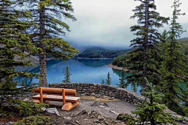 Обои Lake Moraine, Banff National Park, деревья, скамейка, озеро, ели