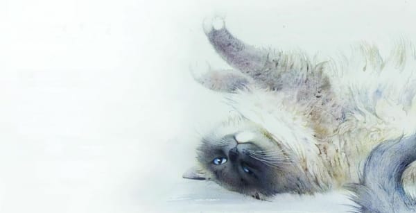 Обои картина, акварель, кот, кошка, лежит, потягивается, арт