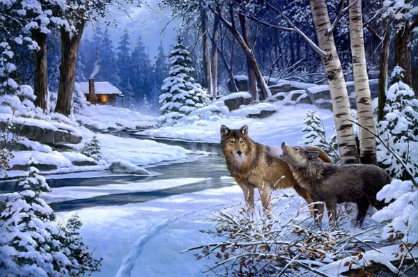 Обои George Kovach, живопись, река домик, хижина, животные, волки, Return to Cabin Creek, лес, волк, снег, зима