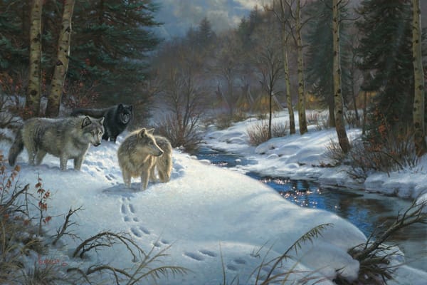 Обои Mark Keathley, ручей, зима, животные, вечер, Valley of Shadows, лес, юрты, живопись, волки