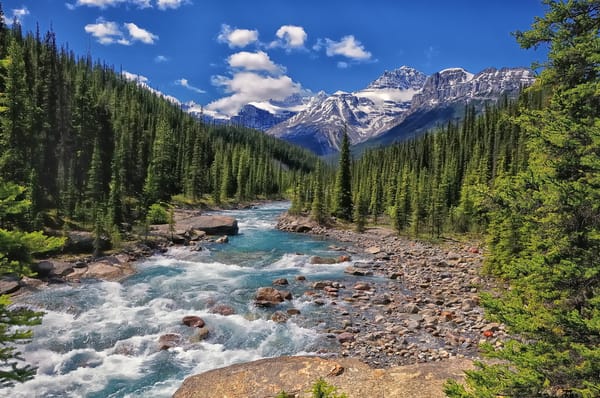 Обои Mistaya River, лес, Национальный парк Банф, Banff National Park, Альберта, Alberta, Canada, Канада, горы, река