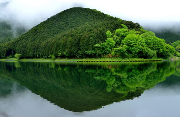 Обои гора, отражение, япония, пейзаж, Lake Tanuki, Fujinomiya, зелень