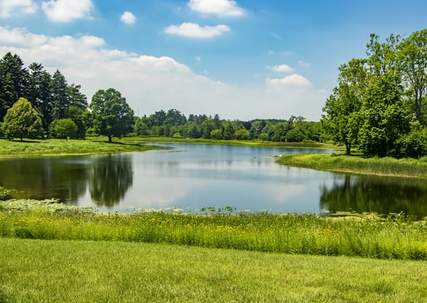 Обои парк, трава, Morton Arboretum, лето, США, зелень, Northern Illinois, пруд, солнце, деревья