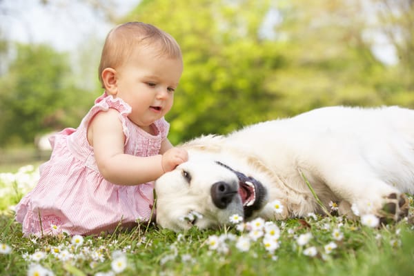 Обои little beautiful girl, baby, joy, маленькая красивая девушка, flowers, happy, ребенок, dog, трава, childhood, мода, mode, play, собака, игры, радость, child, счастливый, ребенок, grass, цветы, детство