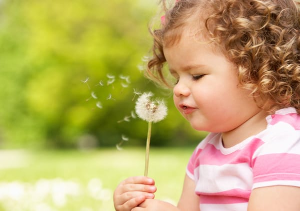 Обои little girl, flower, flower, cute, режим, Маленькая девочка, happiness, child, mode, милая, joy, children, beautiful, радость, цветок, spring, красивая, дети, ребенок, весна, цветы, счастье