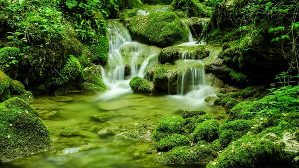 Обои зелень, камни, Италия, Friuli-Venezia Giulia, Italy, Фриули — Венеция-Джулия, мох, ручей