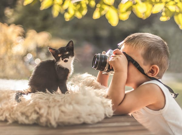 Обои фотосессия, фотоаппарат, котёнок, мальчик