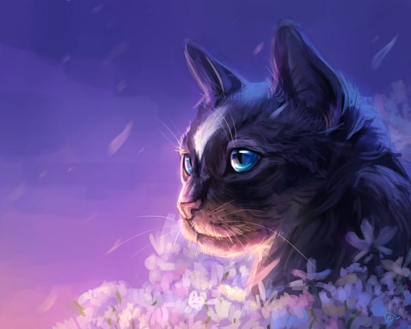 Обои by AlaxendrA, цветы, кошка, небо