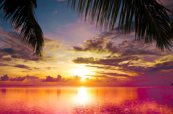 Обои Sunset between Palms, вода, Закат между Пальмы, облака, пейзаж, красивые, water, clouds, море, sea, природа, scene, beautiful, сцены, небо, nature, landscape, sky