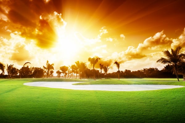 Обои закат, поле для гольфа, пейзаж, sunset, облака, пальмы, деревья, palm trees, golf course, небо, sky, beautiful, landscape, grass, красиво, природа, clouds, трава, nature, trees