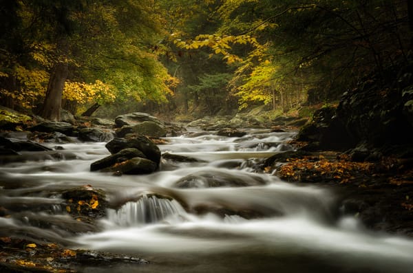 Обои река, камни, осень, лес, Massachusetts, ручей, Bash Bish Brook